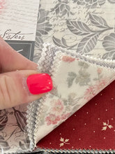 Load image into Gallery viewer, Layer Cakes