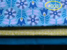 Load image into Gallery viewer, 3 yd Quilt Kits