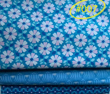 Load image into Gallery viewer, 3 yd Quilt Kits