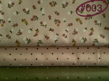 Load image into Gallery viewer, 3 yd Quilt Kits